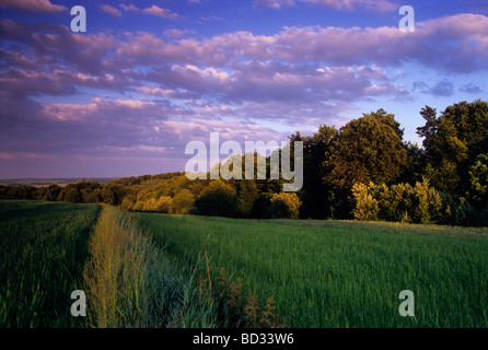 Picturesque Polish Organic Farm Stock Photo