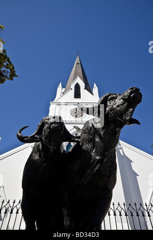 Buffalo Sculpture outside the Moedergemeente Church Drosty Street Stellenbosch Cape Province South Africa Stock Photo