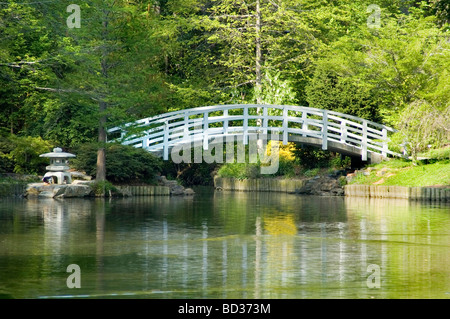 Japanese Garden Stock Photo