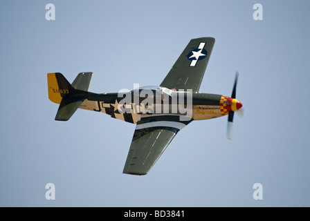 A P-51 Mustang flies at an airshow, this Mustang has invasion stripes painted on it. Stock Photo