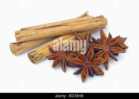 Zimtstange und Anisstern cinnamon stick and star from anis 02 Stock Photo