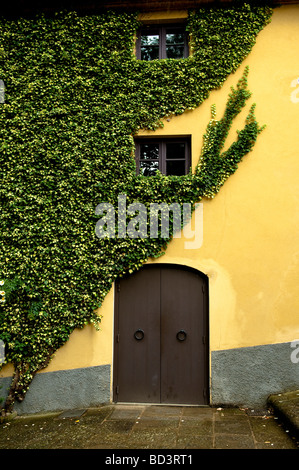 IL BORRO', the Ferragamo Estate in the Chianti hills of Tuscany, Italy Stock Photo