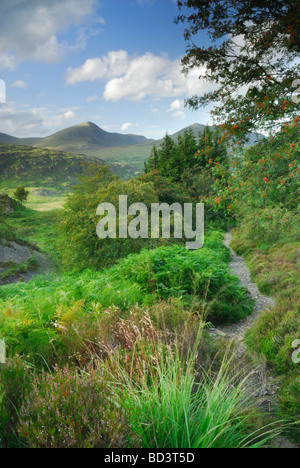 Looking across to Glyder Fawr and Glyder Fach from the mountain slopes of Moel Siabod Snowdonia National Park Wales UK Stock Photo