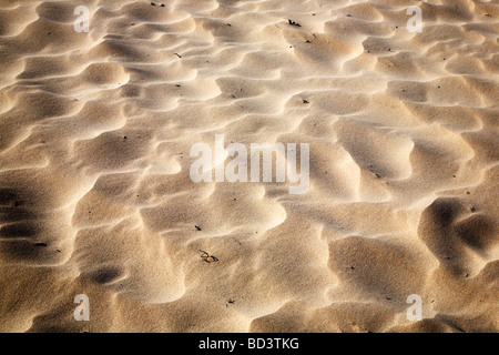 Sand patterns formed by the wind Bamburgh Northumberland England Stock Photo