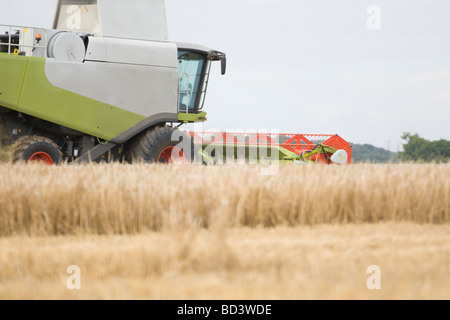 A combine harvester working in a Suffolk field Stock Photo