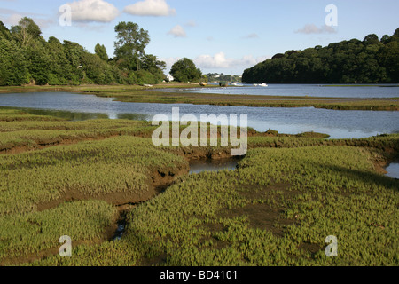 Town of Devoran, England. Evening view of the Devoran saltmarshs at Restronguet Creek, adjacent to Old Tram Road. Stock Photo