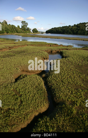 Town of Devoran, England. Evening view of the Devoran saltmarshs at Restronguet Creek, adjacent to Old Tram Road. Stock Photo