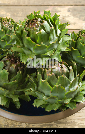 A plate of ripe spikey artichoke heads ready for cooking Stock Photo