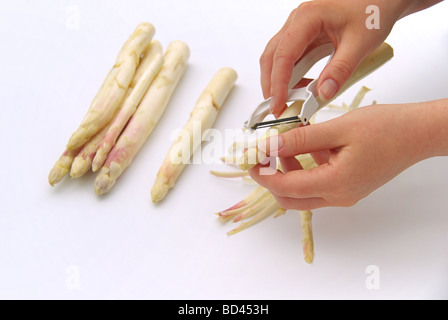 Spargel schälen asparagus peeling 03 Stock Photo
