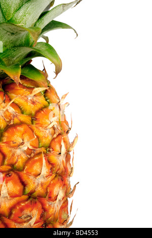 Detail of a pineapple against a white background with copy space to right Stock Photo