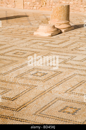 Detail of a mosaic floor and columns at roman ruins Stock Photo