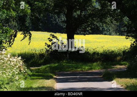 TREE-LINED ROAD JUNCTION IN THE LINCOLNSHIRE WOLDS.  ENGLAND.  UK Stock Photo