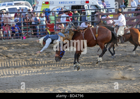 cowboy being thrown from a bucking bronco at a rodeo in Montana Stock Photo