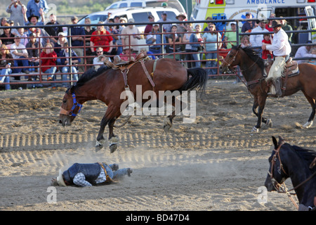 Cowboy lying on the floor under a bucking bronco after being thrown at a rodeo in Montana Stock Photo