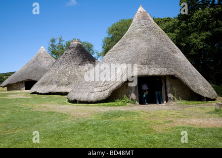 Castell Henllys iron age celtic village houses Pembrokeshire Wales Stock Photo