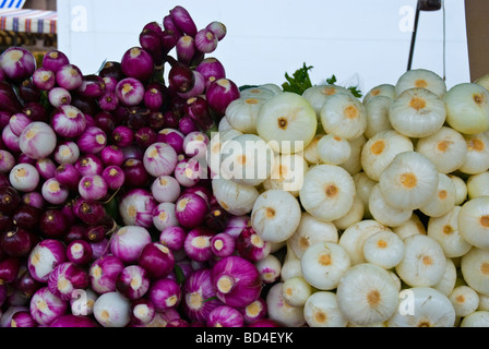 Vegetable stall at Kungstorget square in Gothenburg Sweden Europe Stock Photo