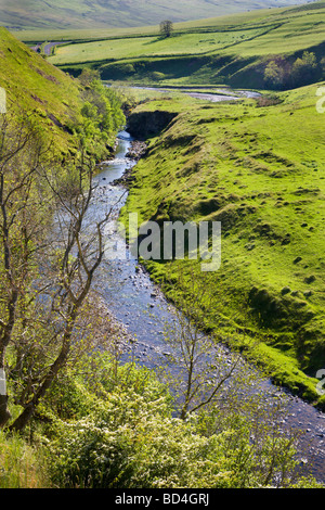 River Coquet Upper Coquetdale Northumberland England Stock Photo