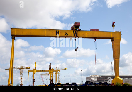 Samson and Goliath, the famous landmark yellow gantry cranes of the former Harland and Wolff shipyards in Belfast Stock Photo