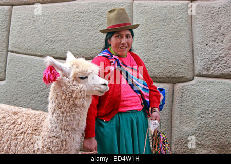 native woman with alpaca, Calle Hatun Rumiyok, Cuzco, Peru, South America Stock Photo