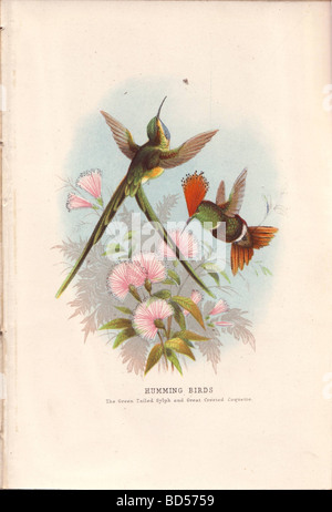 bd5759