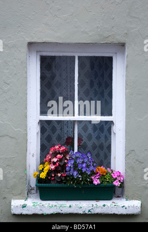 Coloured Houses Eyeries Ring of Beara County Kerry Ireland Stock Photo