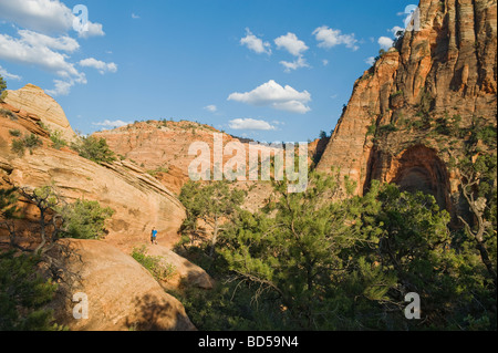 A person in the distance at Red Rock Stock Photo