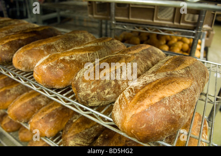 Loaves of bread in a bakery Stock Photo