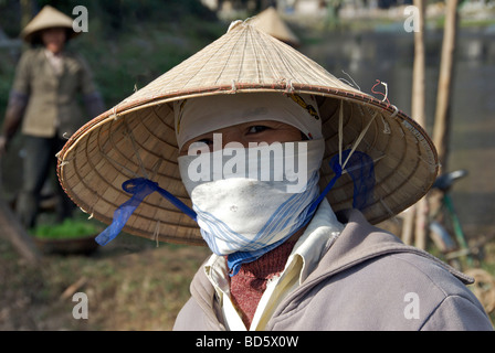 Portrait woman wearing conical hat standing in rice paddy Tam Coc Ninh Binh Province Northern Vietnam Stock Photo