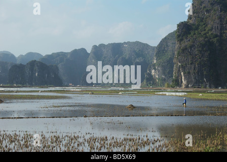 Rice fields and limestone karsts Tam Coc Ninh Binh Province Northern Vietnam Stock Photo