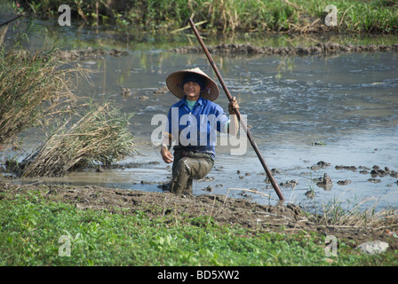 Woman in muddy rice paddy Tam Coc Ninh Binh Province Northern Vietnam Stock Photo