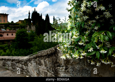IL BORRO', the Ferragamo Estate in the Chianti hills of Tuscany, Italy Stock Photo