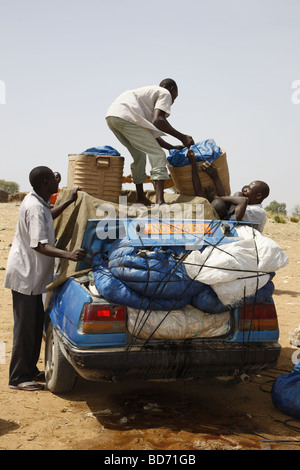 Loading the fish catch onto a car for sale on the market, at Lagdo Lake, northern Cameroon, Cameroon, Africa Stock Photo