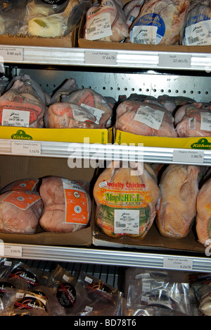 Frozen exotic specialty organic poultry and meats in upright freezer display case Stock Photo