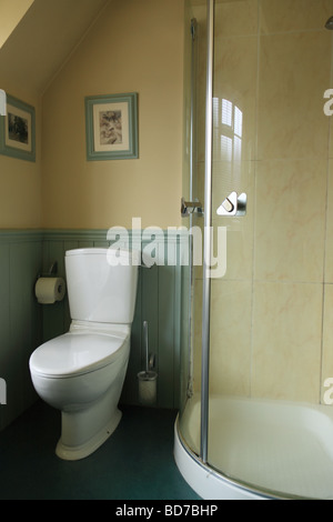 View into an attic bathroom showing wc, shower and wood panelling. Stock Photo