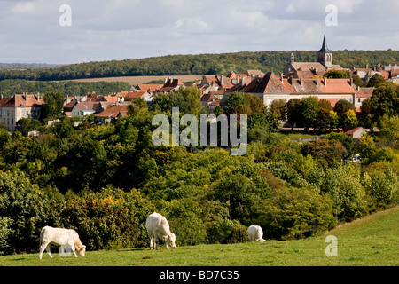 two cows in a field near 'Flavigny sur Ozerain' France Stock Photo