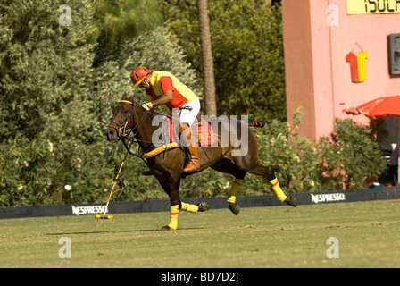 Polo player striking ball during match at Santa Maria polo club, Sotogrande, Spain Stock Photo