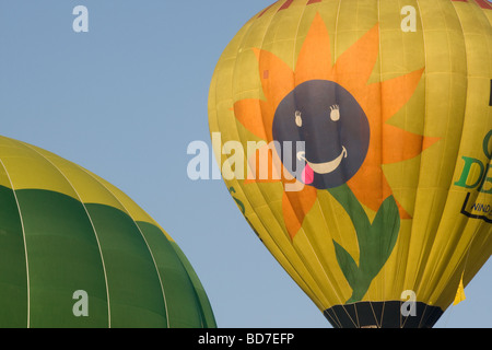 Bristol Hot-air Balloon Fiesta 2009, balloon with a sunflower and smiling face