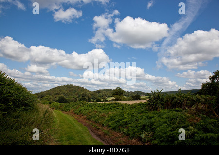 The Lee Hills near Lee Brockhurst as seen from the Shropshire Way, Shropshire, England Stock Photo