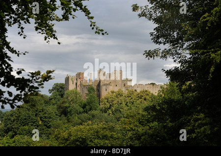 Ludlow Castle in Shropshire surrounded by the trees of Mortimers Forest Stock Photo