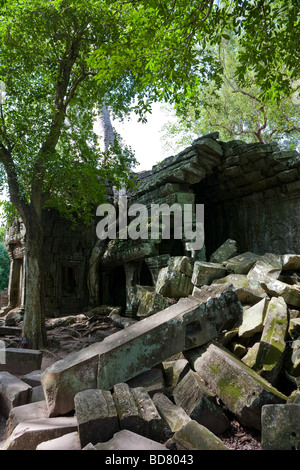 A crumbled wall lies in shadow under dense trees at Ta Prohm, Cambodia Stock Photo