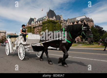 Tourists take a romantic and scenic horse and carriage ride through beautiful downtown Victoria, British Columbia, Canada. Stock Photo