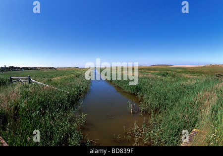 Salthouse marshes with drainage ditches protected from the North Sea by high shingle banks which are constantly being repaired. Stock Photo