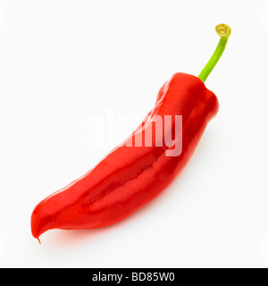 Red Pepper. Stock Photo