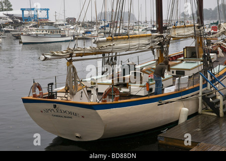 Schooner Appledore Camden Maine USA Stock Photo