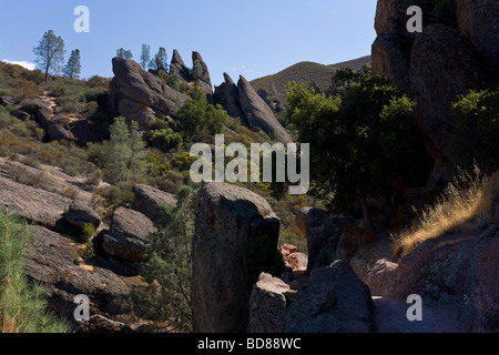 A tree clings to the cliff face above a walking path through the Pinnacles National Park, California Stock Photo