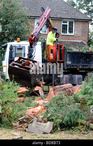 Tree surgeon's work on cutting down on a large tree after it was struck by lightning and damaged Stock Photo