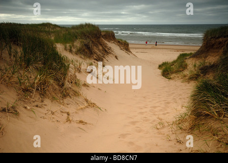 Greenwich sand dunes, Prince Edward Island, Canada Stock Photo