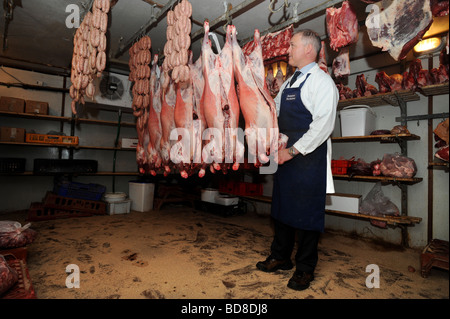 Butcher Paul Matthews down in the cold room checking his hung meat, Paul owns at Bramptons a traditional butchers in Kemp Town Stock Photo