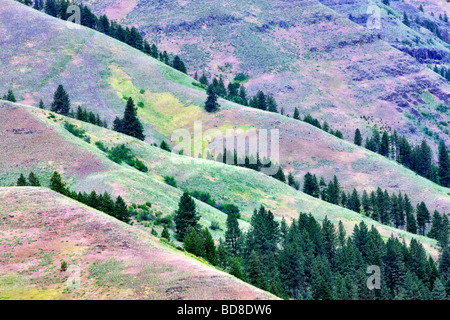 Spring colors in hills in Wallowa County Oregon Stock Photo