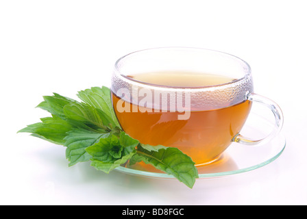 Tee Pfefferminze tea Peppermint 07 Stock Photo